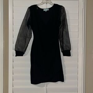 Black above the knee dress with sheer long sleeves